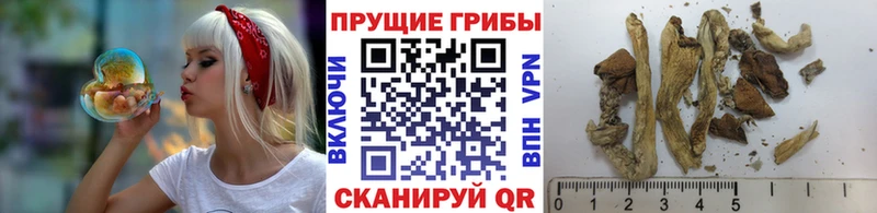 Псилоцибиновые грибы MAGIC MUSHROOMS  Фролово 